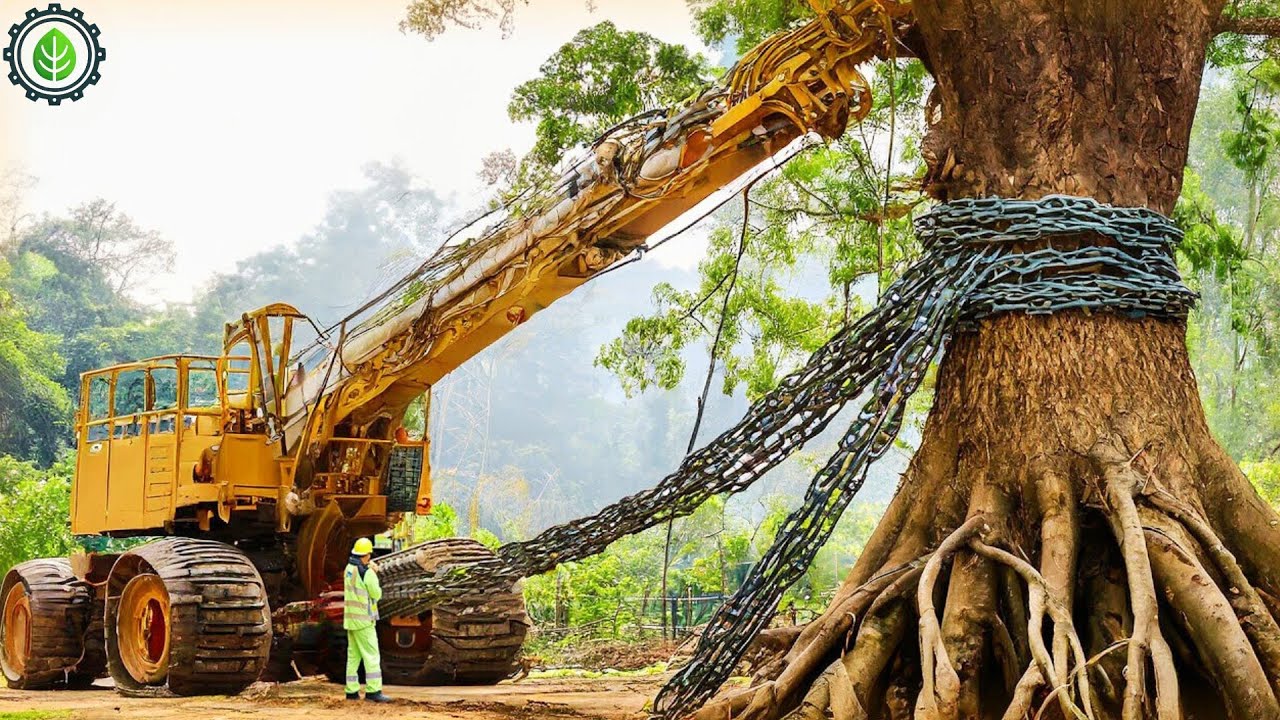 Extreme Dangerous Fastest Big Chainsaw Cutting Tree Machines | Monster Stump Removal Excavator ▶84