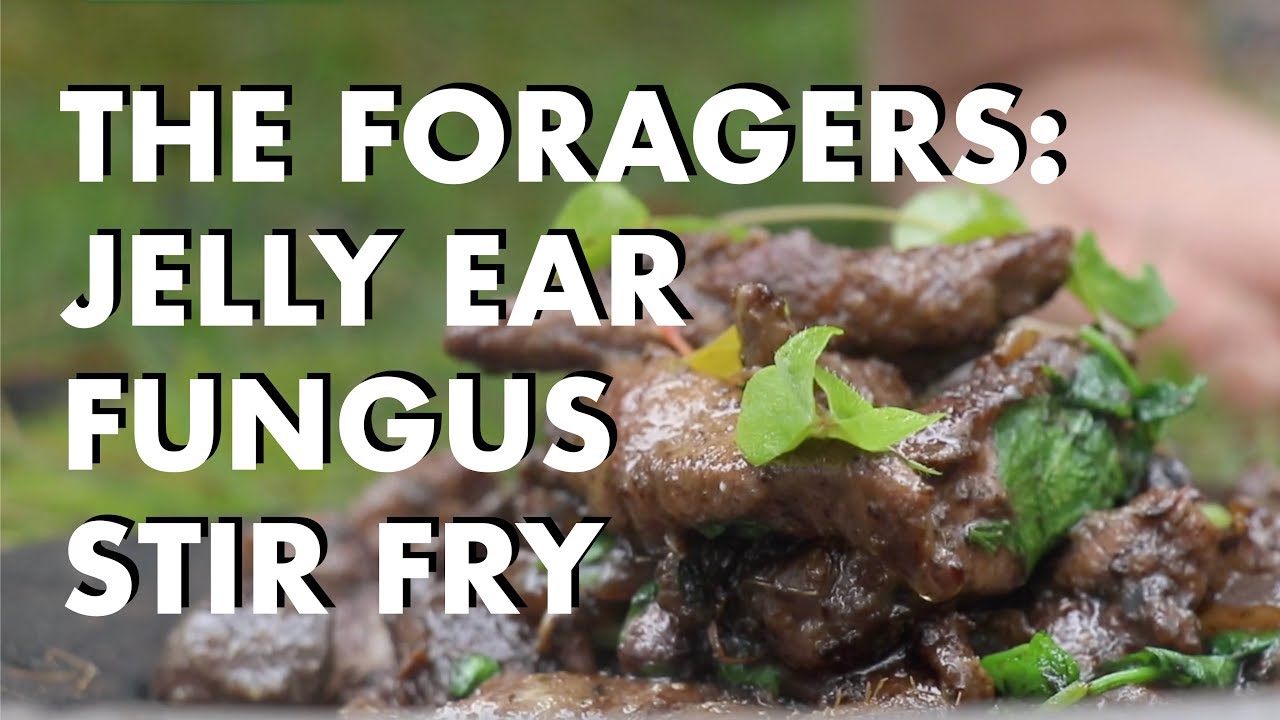 The Foragers: Jelly Ear Fungus Stir Fry