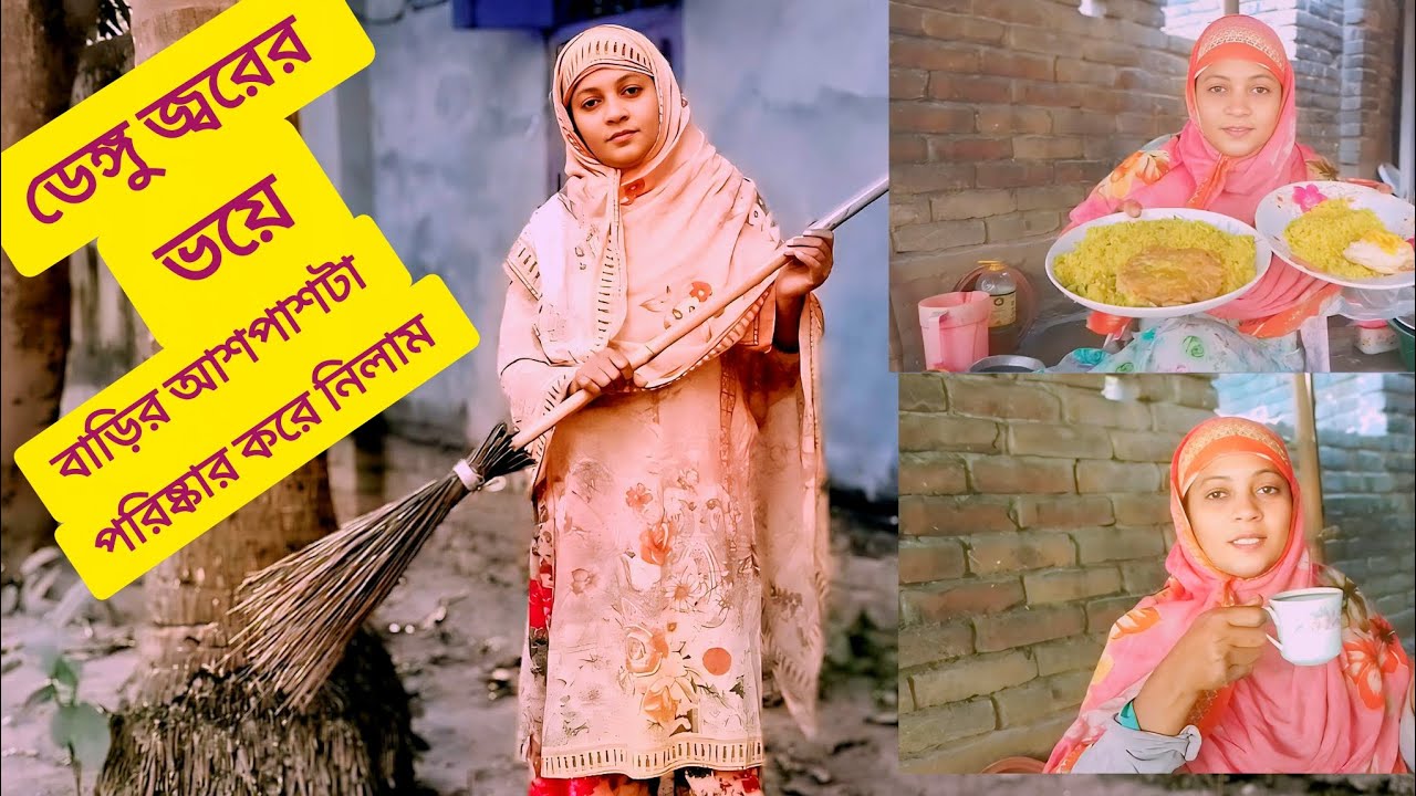 ডেঙ্গু জ্বরের ভয়ে | বাড়ির আশপাশটা পরিষ্কার করে নিলাম |Kalpana cooking vlogs |