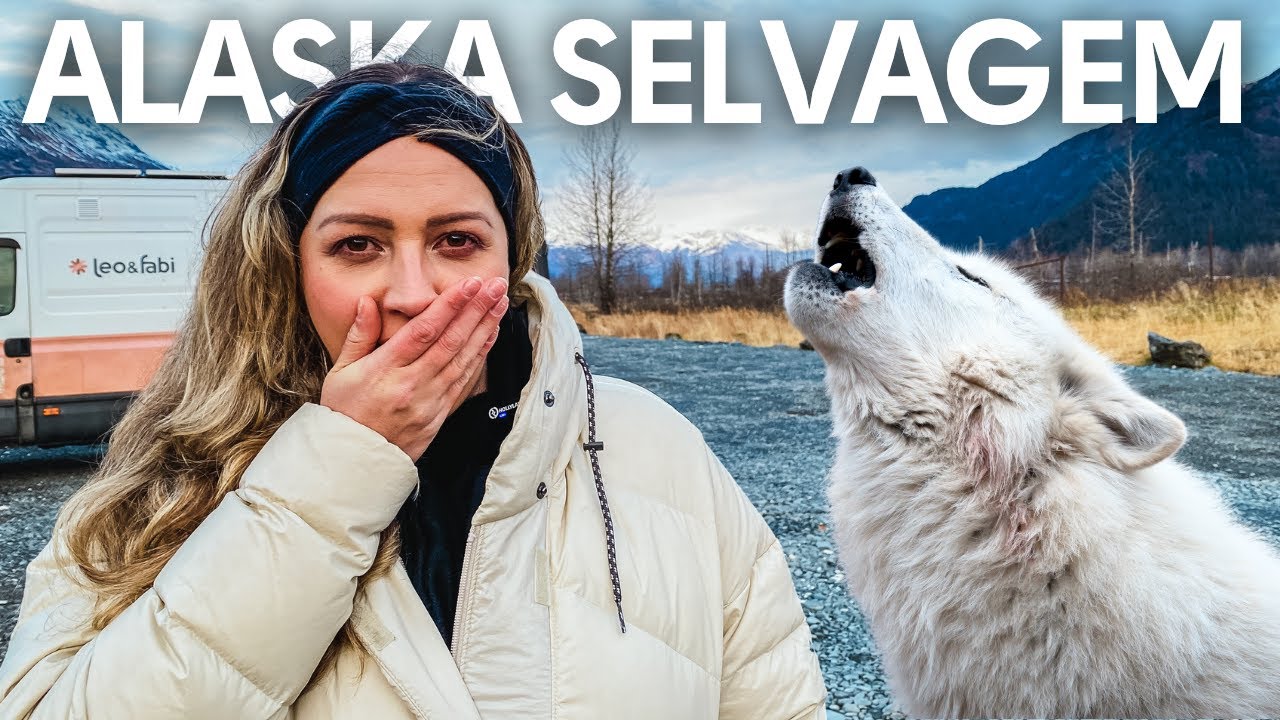 ❄️ VIDA SELVAGEM NO ALASKA: nunca estivemos tão perto