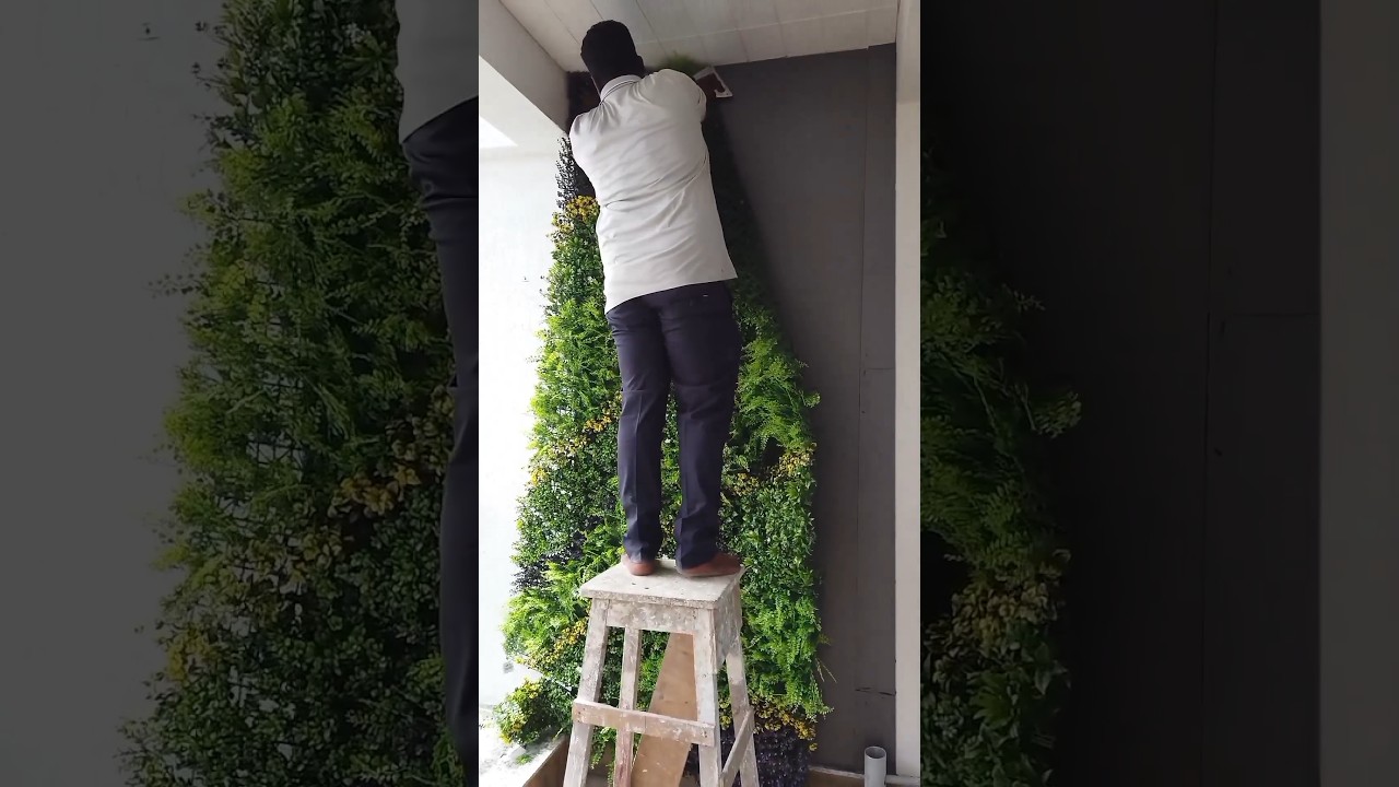 😍😍 Best vertical greenwall for balcony garden