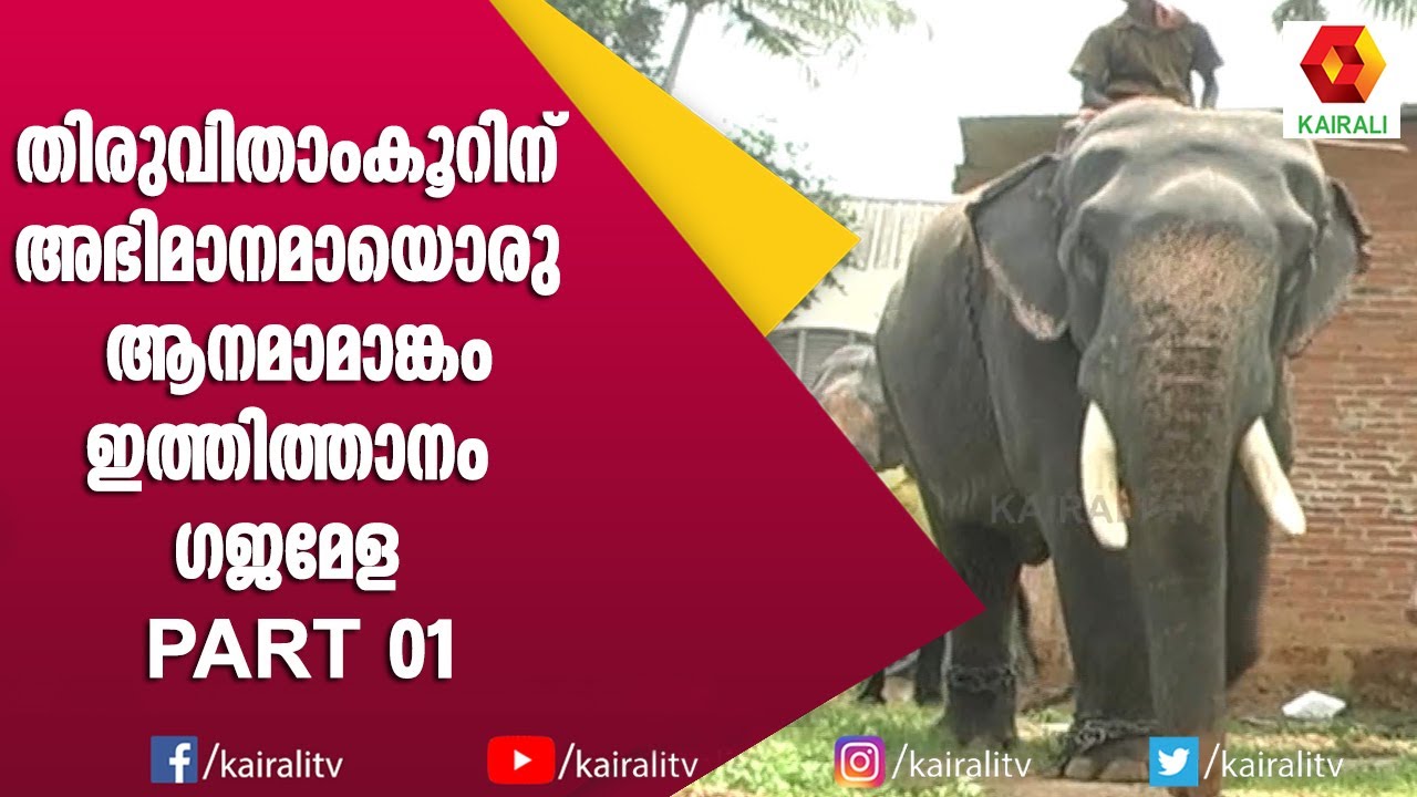 മലയാളക്കരയിലെ ആനക്കേമന്മാർ ഒത്തുചേരുന്ന ഗജമേള | Ithithanam Gajamela | E for Elephant #1 | Kairali TV