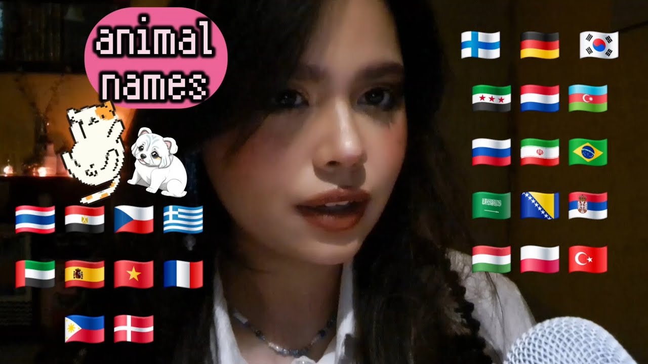 [LofiASMR] different ANIMAL names in 21 languages ! ♡ (whispering)