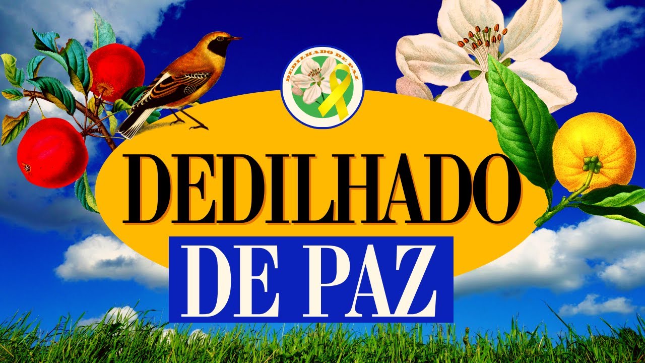 DEDILHADO DE PAZ! APRENDA A TOCAR ESTE LINDO DEDILHADO!