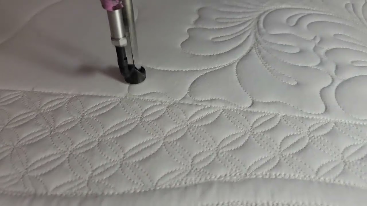 Curvy Flower Petal Feather Border Free Motion Longarm Quilting Design on Wide Quilt Borders by Adria