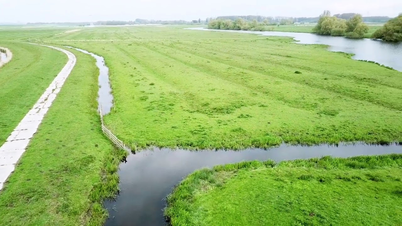 Binnenelbe Hetlinger Schanze 5/2020