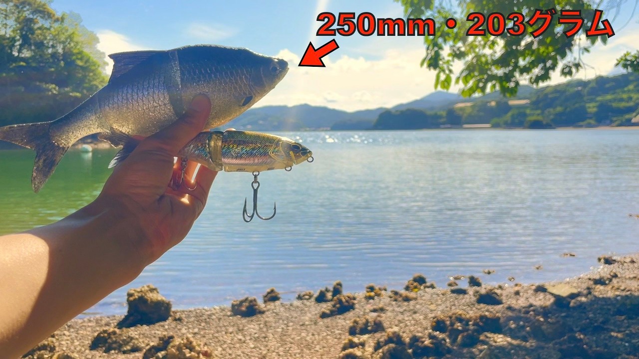 静かな湾の奥で、特大ルアーを投げ続けた結果‥【赤眼の怪魚編・2話】