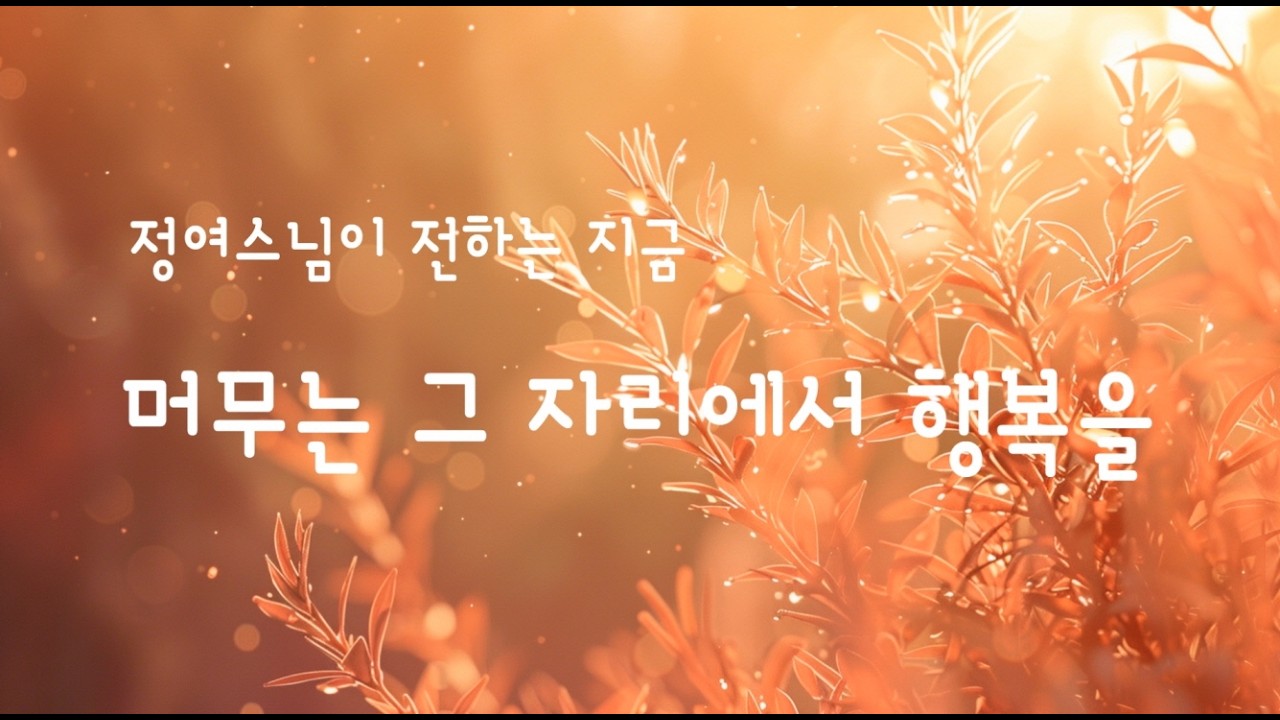 [정여스님의 머무는 그 자리에서 행복을] 아름다운 사람