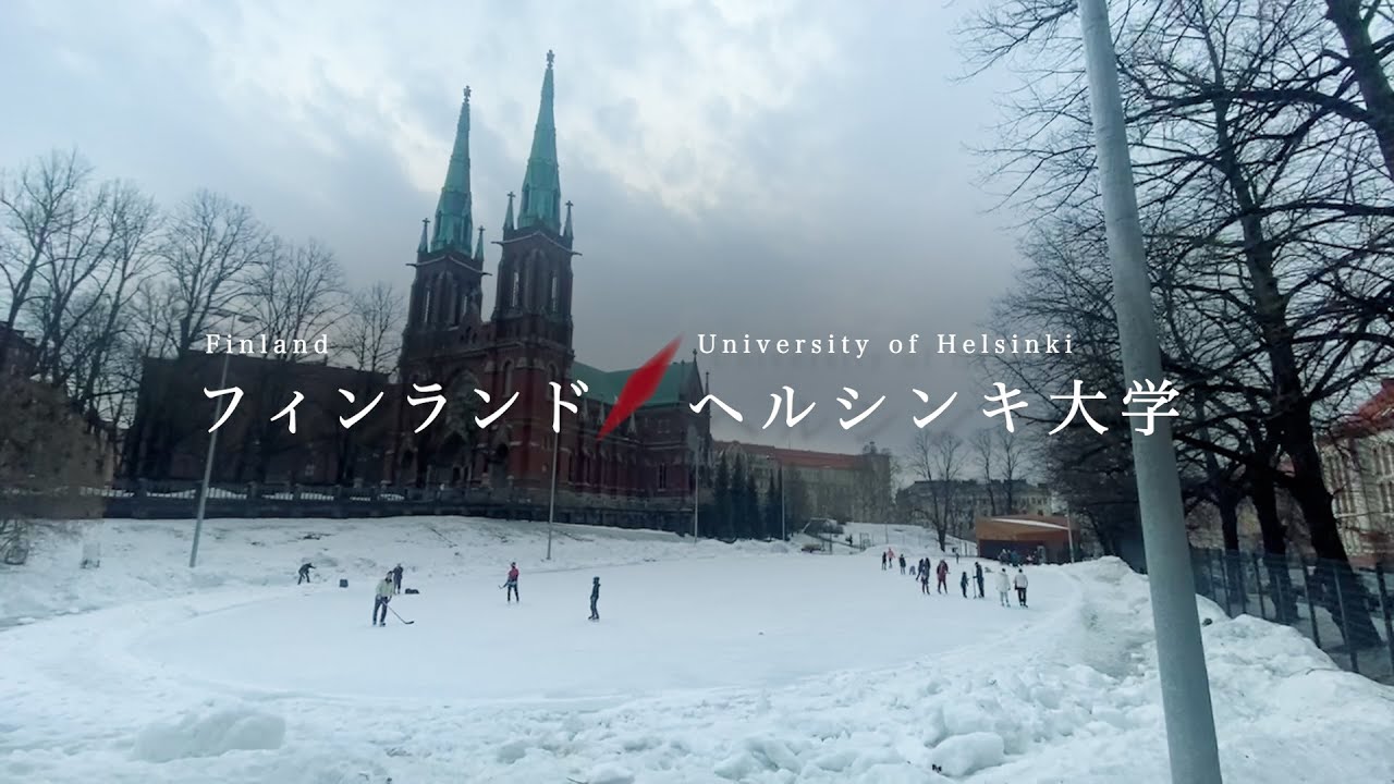 早稲田大学留学リポート2024 #5 ヘルシンキ大学/Waseda University Study Abroad Report, University of Helsinki