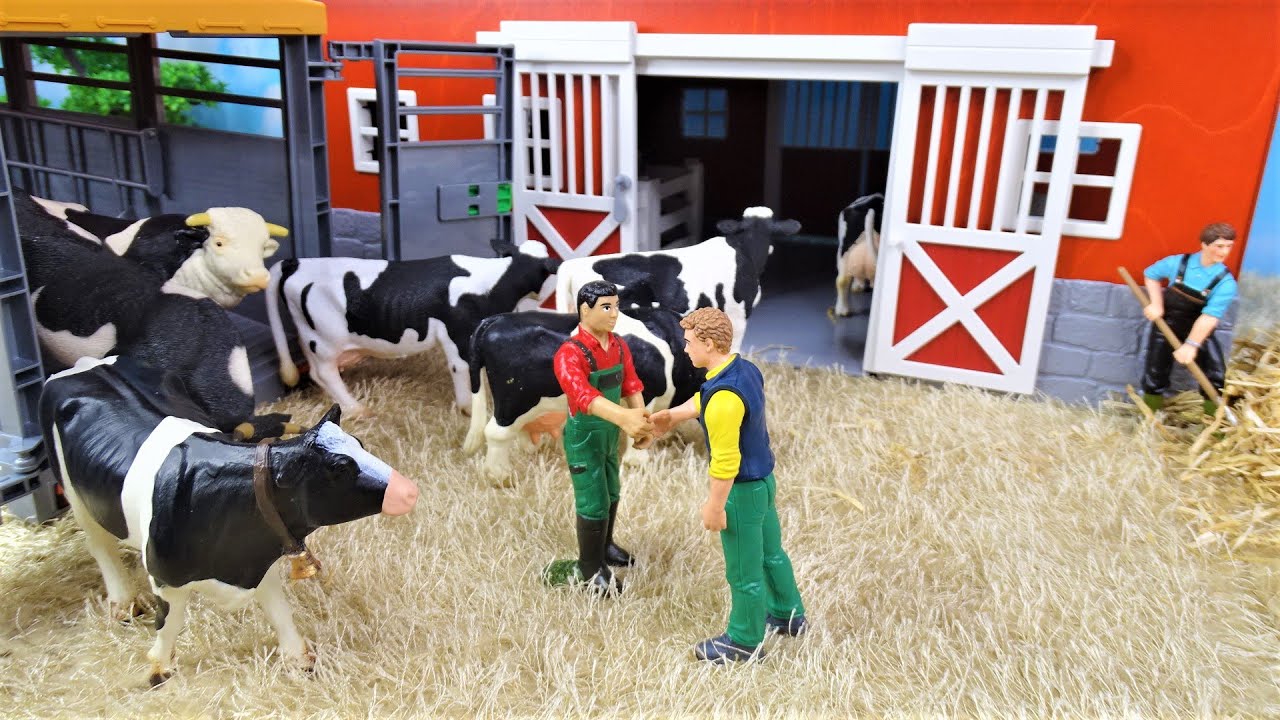New Cows and Bulls in the farm/NUOVE MUCCHE e TORI/Vacas y toros!!!