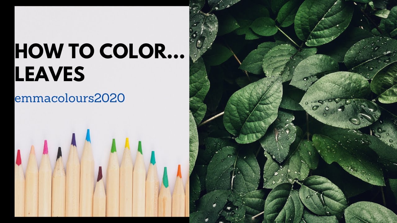 How to colour leaves- adult coloring tips