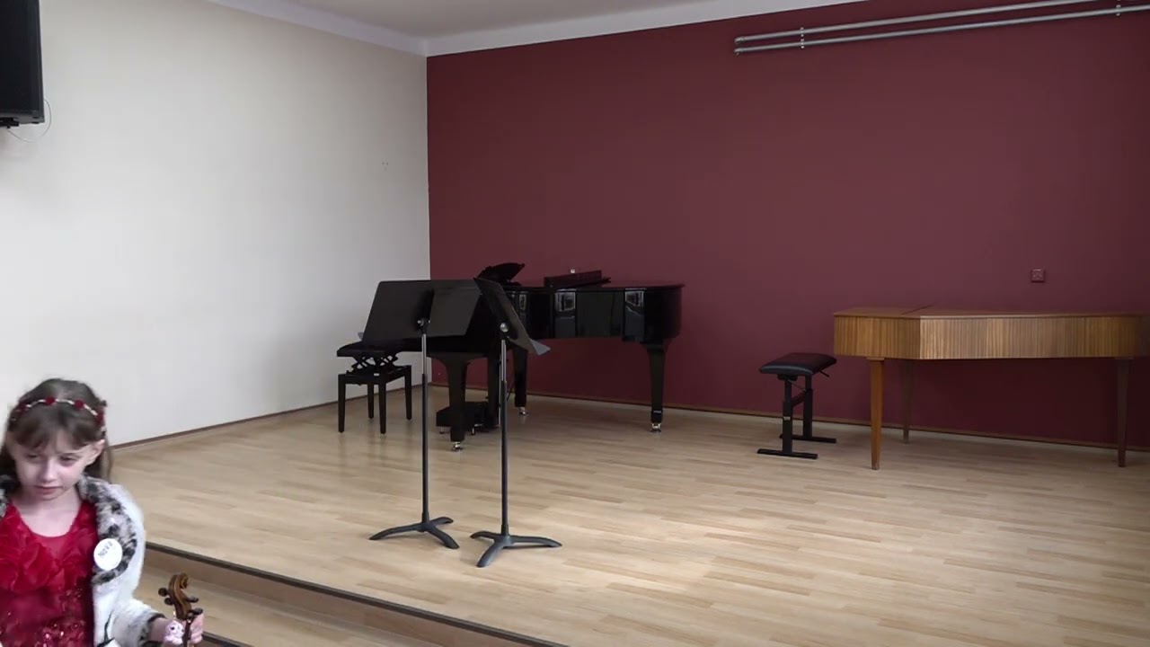Okresní kolo soutěže - komorní hra smyčce 1