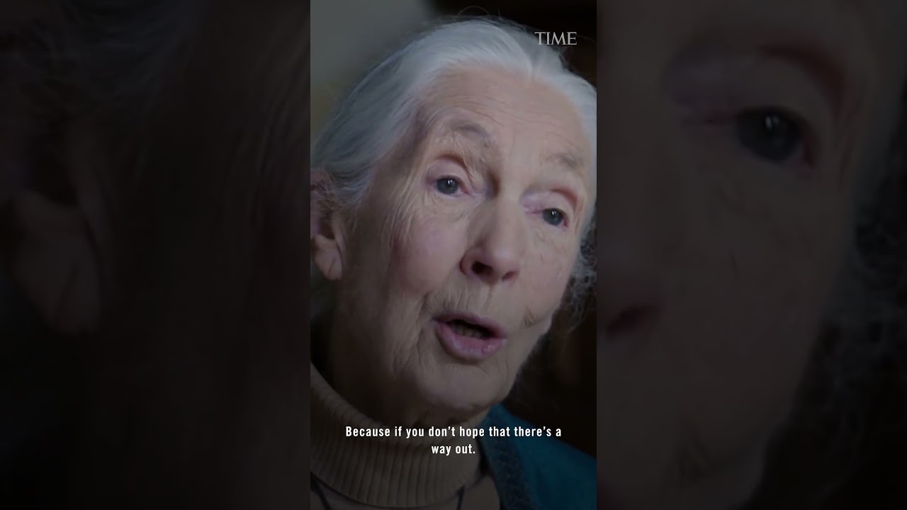 #Jane #Goodall On The Need For Hope  #time #news
