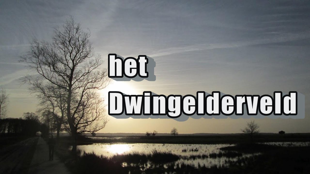 Dwingelderveld National Park 4K | Scenic Landscape Netherlands