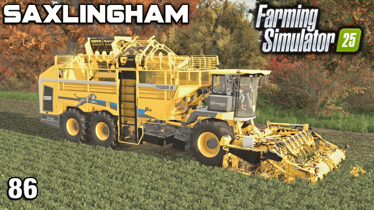 WE'RE GOING TO HAVE SO MUCH SUGAR BEET! Saxlingham FS25 Ep 86