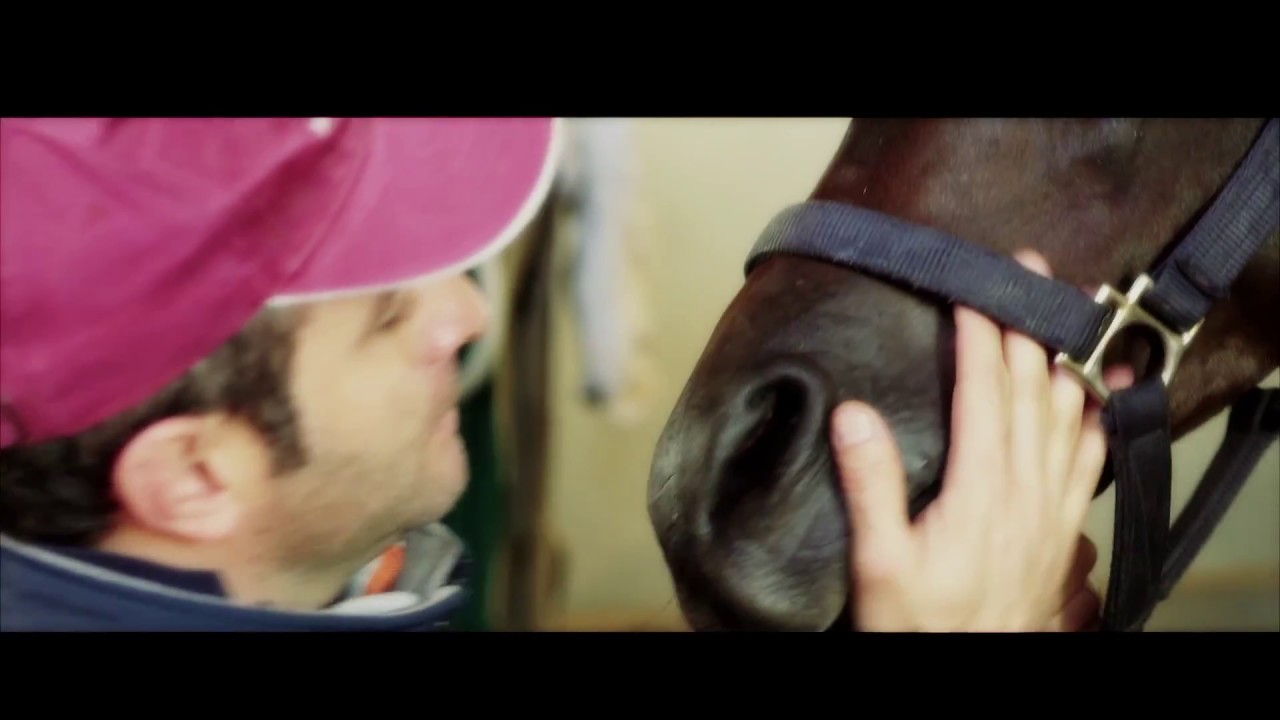 WADEE AL SHAQAB - “Joy of life” - A film by Matteo Marconi & Oscar Sanchez H. for Al Shaqab, Qatar