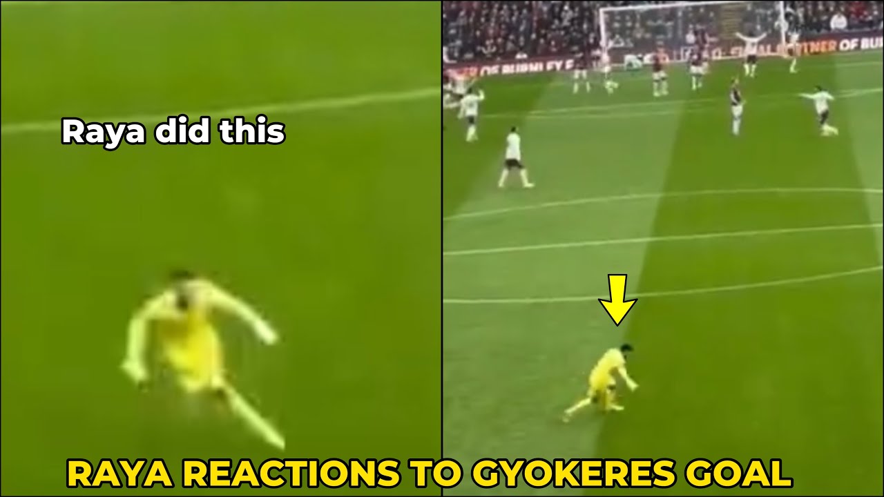 😂Безумная реакция Дэвида Рая на гол Дьокереса в ворота Бернли. Арсенал 2:0. Лучшие моменты Бернли. 🔥