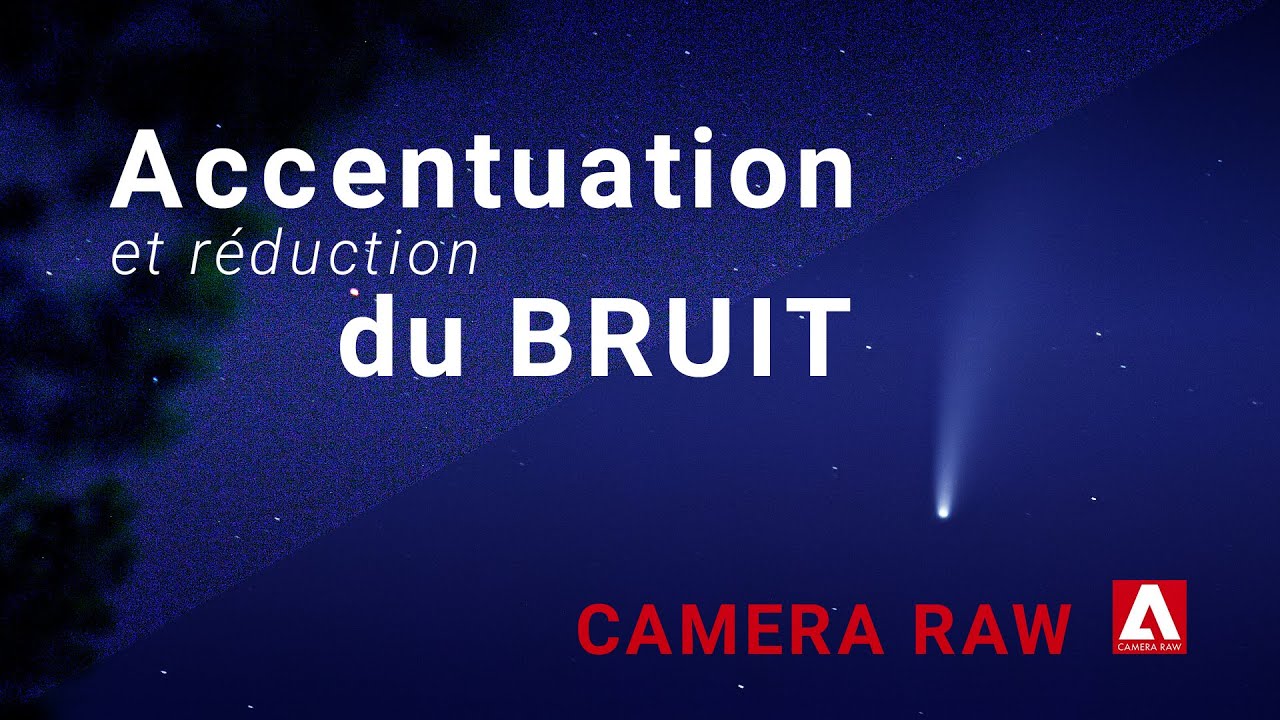 Comment régler la netteté et réduire le bruit dans Camera Raw