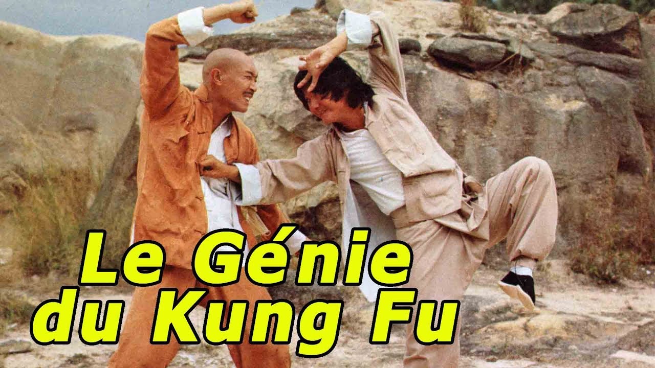 Wu Tang Collection - Le G&eacute;nie du Kung Fu