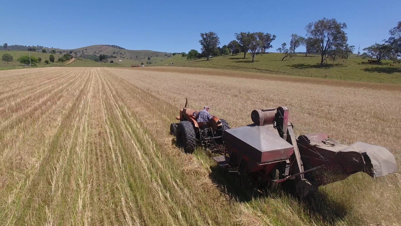 Massey Ferguson Sunshine Harvester