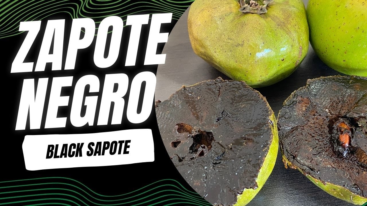 Probamos el Zapote Negro por primera vez