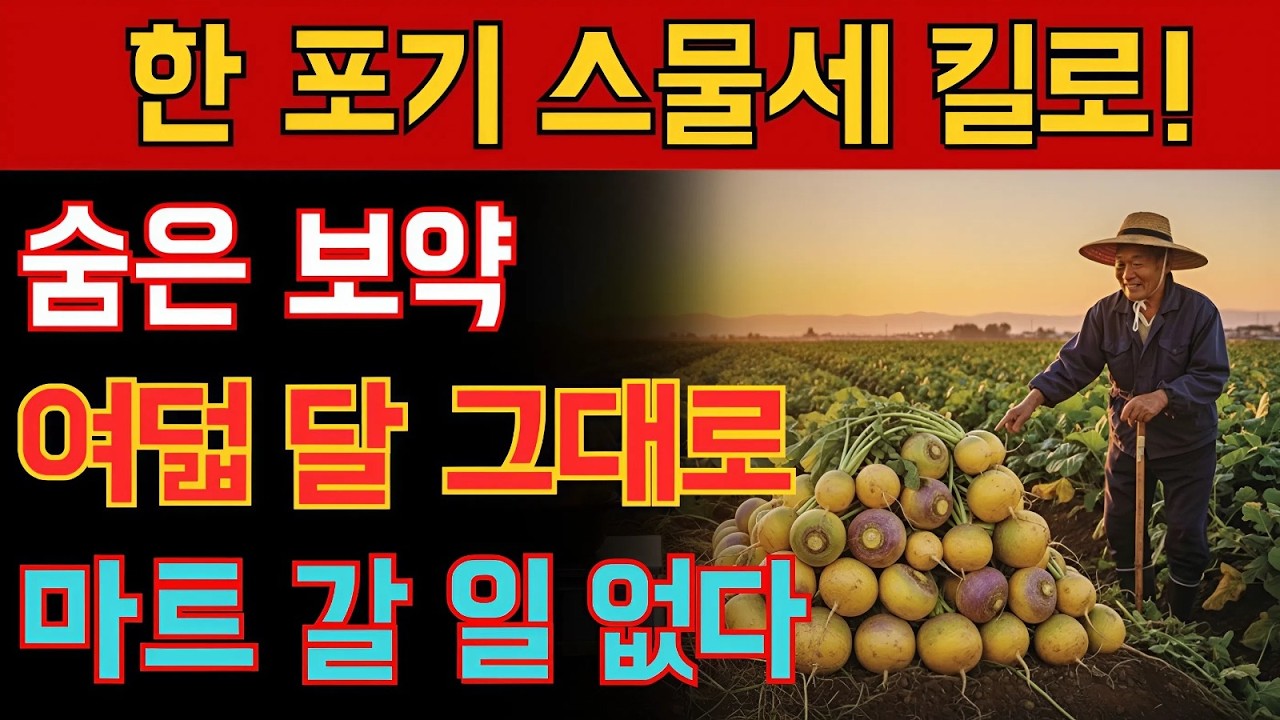 한 포기에 23kg 수확? 대기업이 우리 식탁에서 지워버린 '기적의 보약'