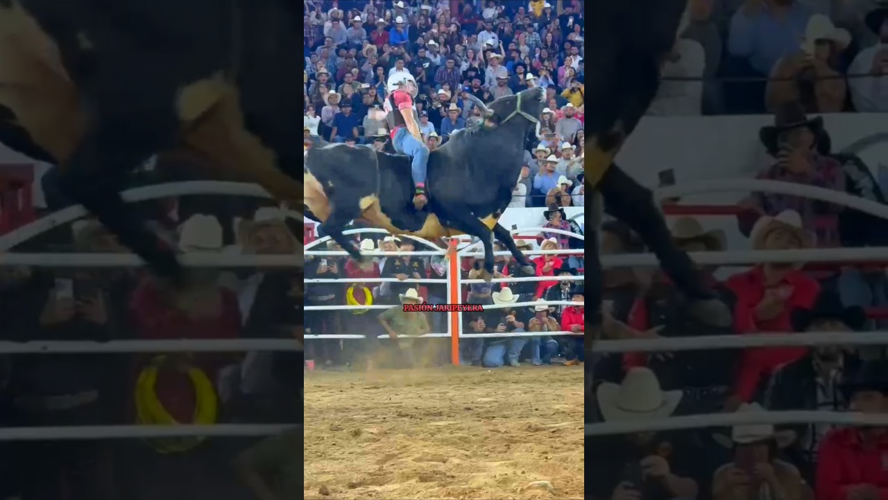 Campe&oacute;n RANCHO LA CANDELARIA Torneo REY DE M&Eacute;XICO 2025 Guerrero Imperial vs Pulguita de Jalisco