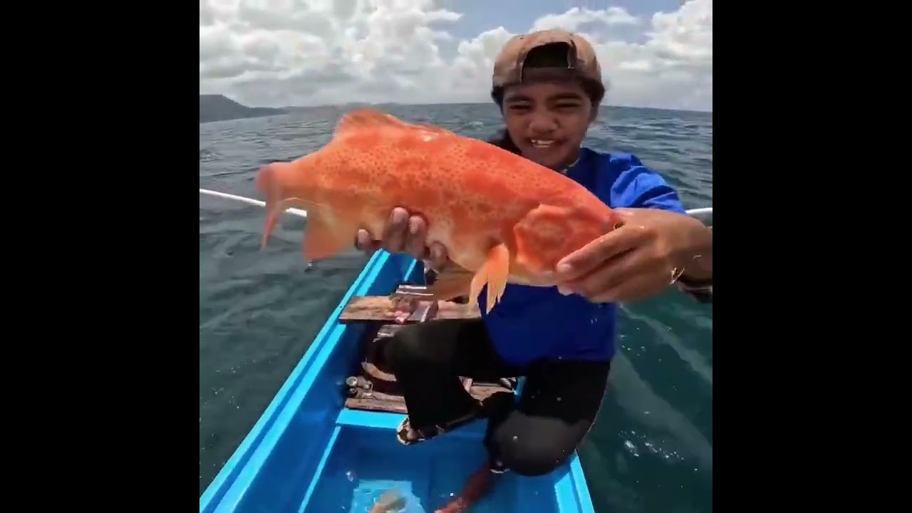 Mancing ikan kakap merah dan ngangas merah umpak nya pakai ikan tengiri segar
