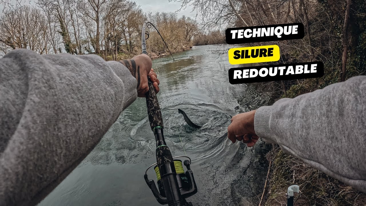 PÊCHE DU SILURE du bord (Tuto facile)