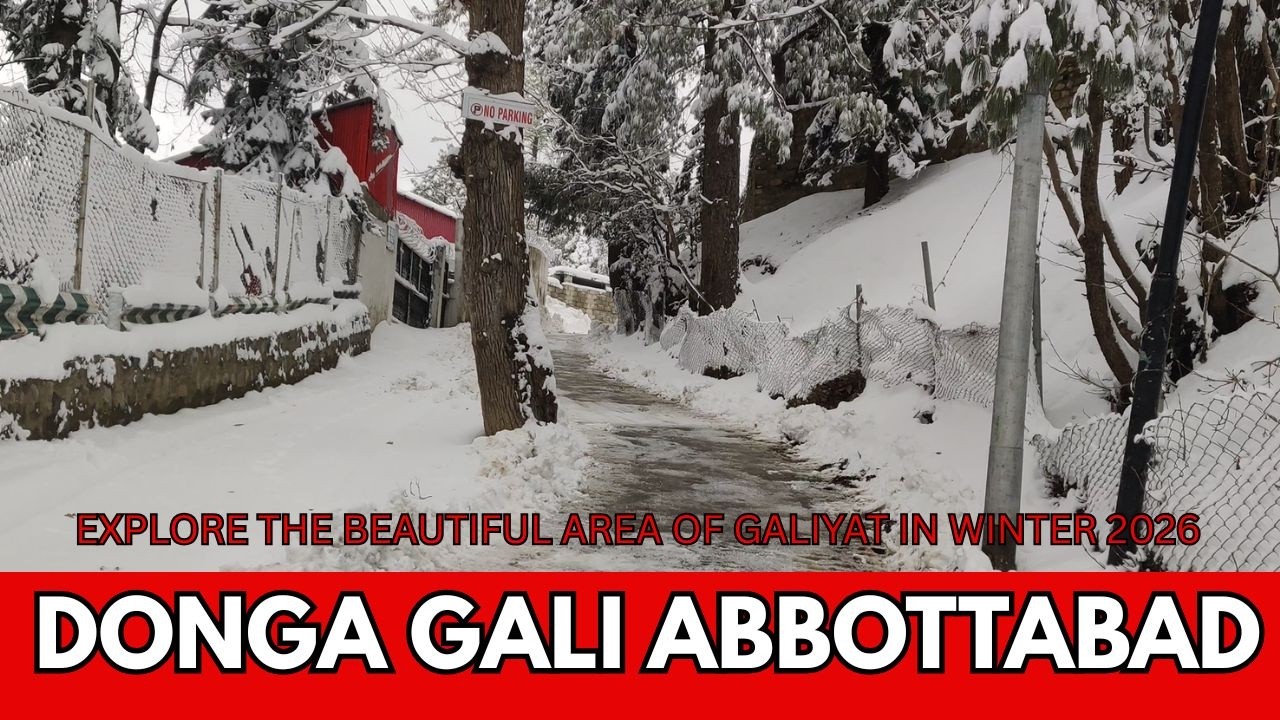 Nathia Gali Snowfall 2026 | Donga Gali Covered in Snow| Beautiful Area of Galiyat | Tanoli on Tour |