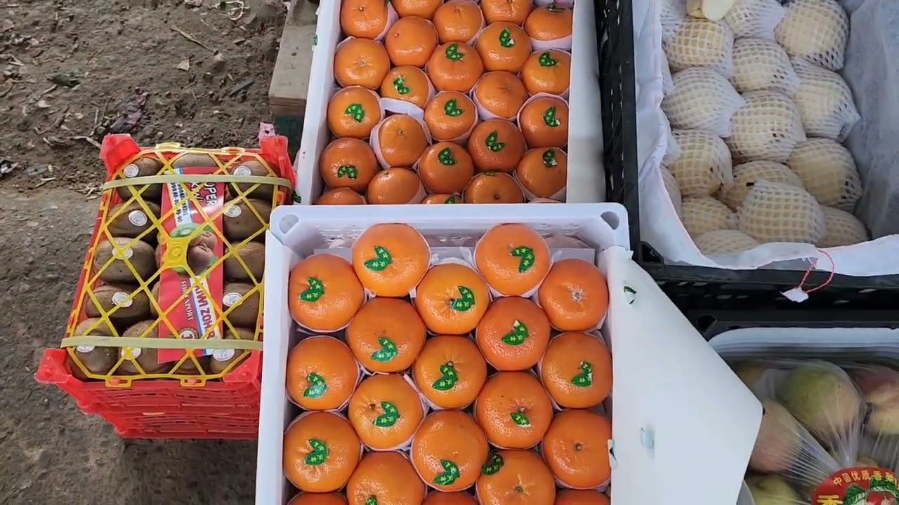31-yanvar Yerqurgʻon bozorda bugungi narxlar