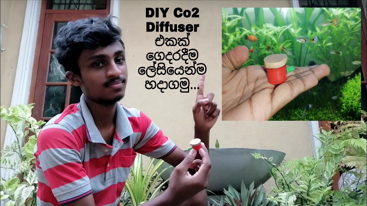 Let's make a DIY CO₂ Diffuser easily at home It will be important for everyone who makes a DIY thing