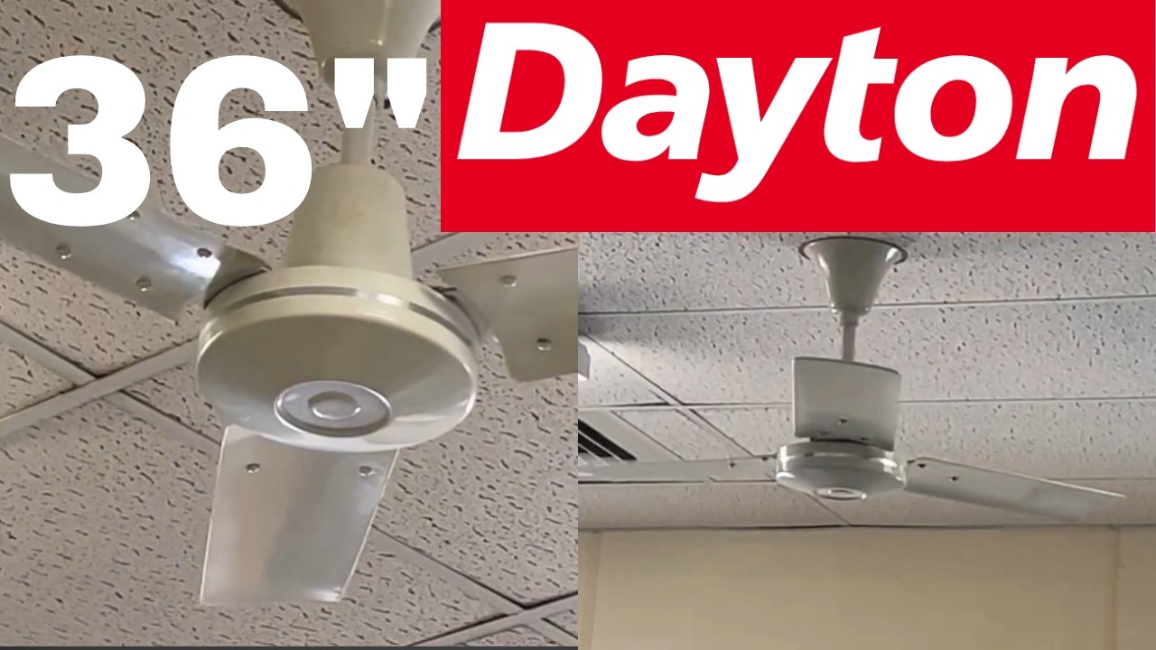36” Dayton Marley ceiling fans 