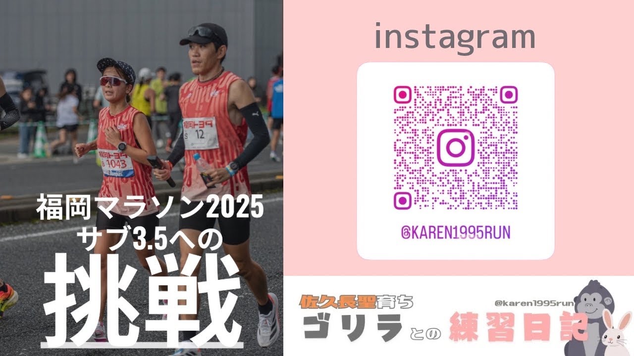 【福岡マラソン2025 サブ3.5への挑戦】うさぎとゴリラ🐇🦍