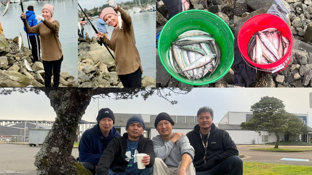 Fishing herring fish