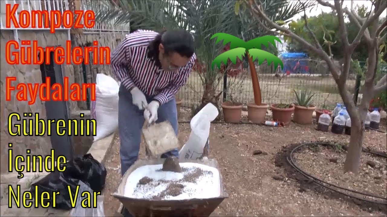 Kompoze (Taban) Gübreleri Ağaçlara Ne Zaman ve Nasıl Atılır?
