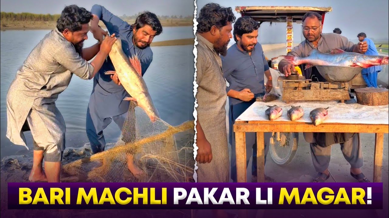 Bari Machli Pakar Li Magar Bechny Gaye To 🤭