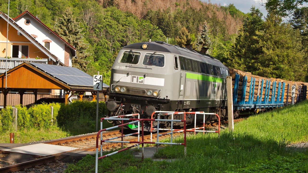 Holzzüge im Frühling - Sichtungen im Mai