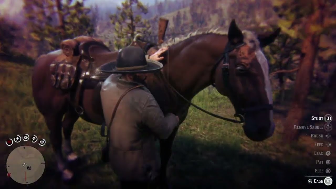 Red Dead Redemption 2