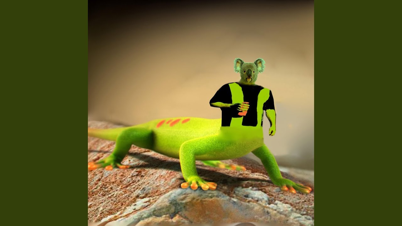 Lookay