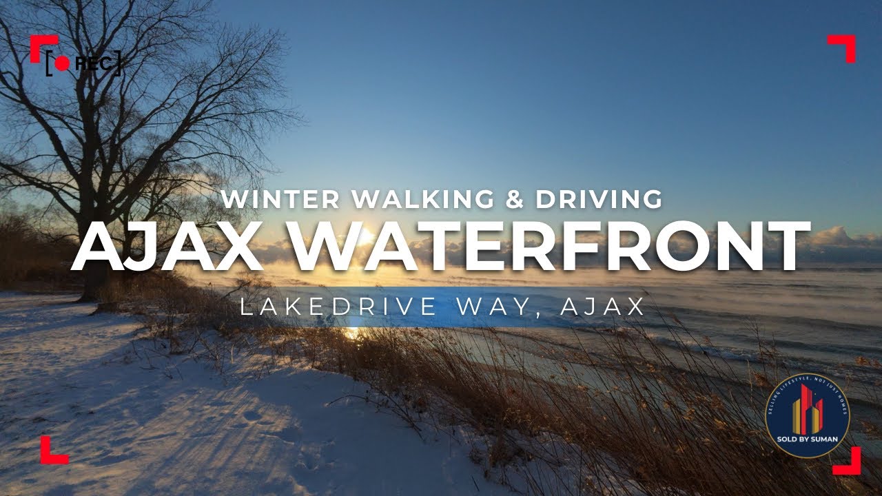 Walking by the Waterfront & Driving in Cold Weather ❄️ | Streets Under 25°C