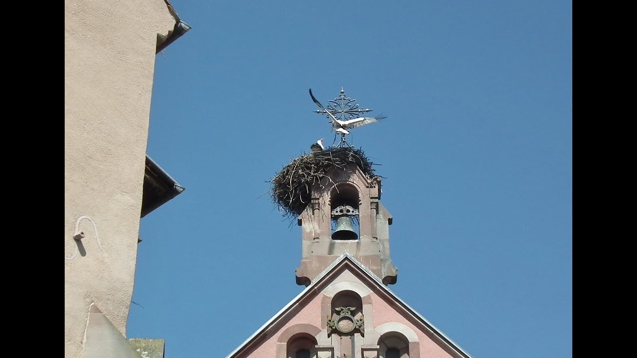 L' Alsace Mai 2019 Unisys