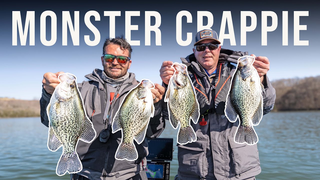 Targeting Monster Crappie in the Mud at Dale Hollow Lake