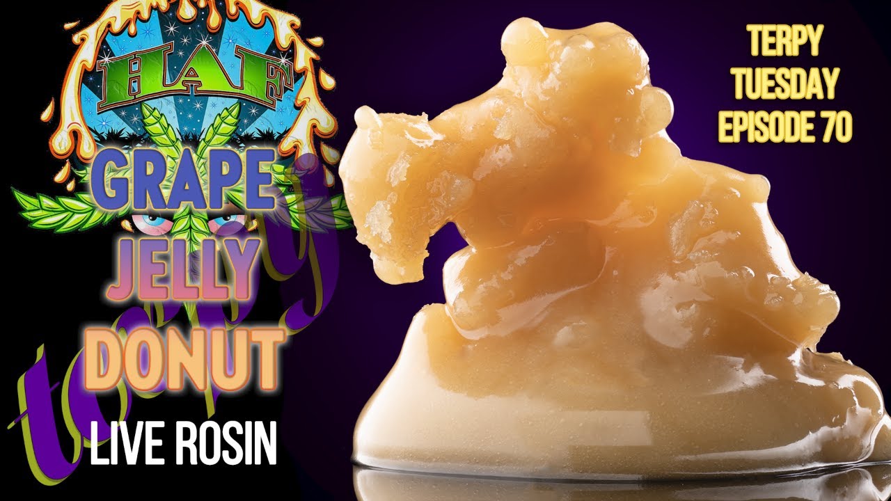 Terpy Tuesday Ep. 70: Hash And Flowers Grape Jelly Donut Live Rosin