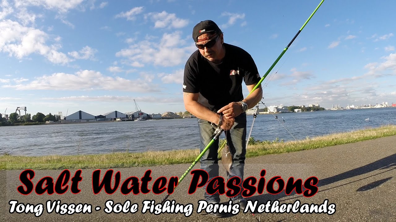 Fishing for Sole - Pernis Netherlands - Salt Water Passions