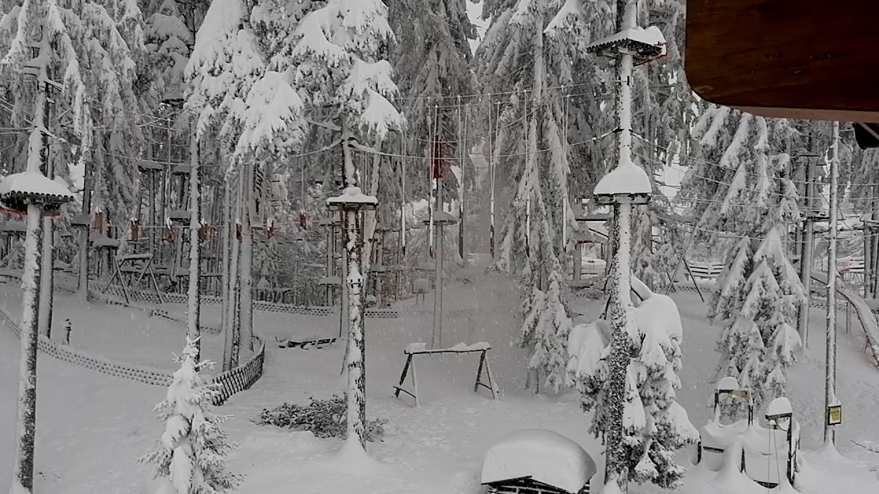 Schneechaos in Osttirol Kärnten Videos aus vielen Gemeinden im Überblick Teil 3