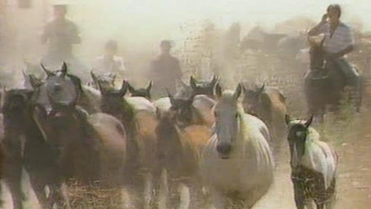 La Tuza - Documental de la Saca de las Yeguas de 1987