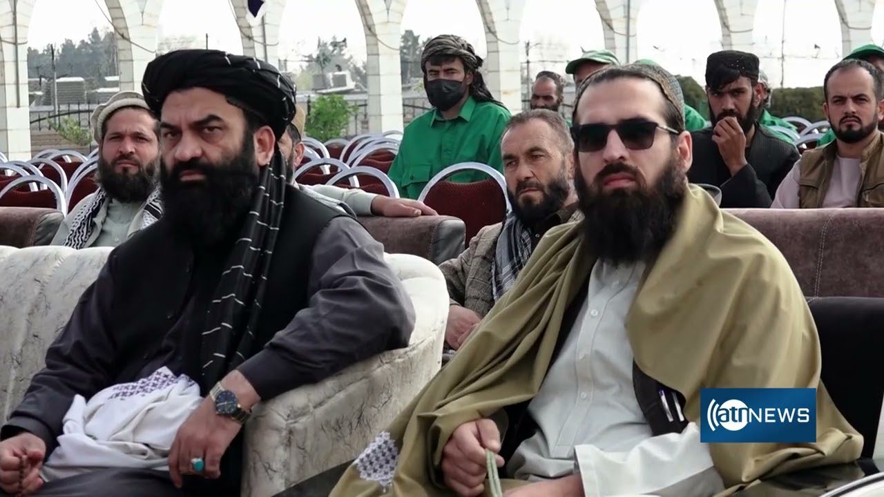 Месячная кампания по посадке саженцев на холме Вазир Мохаммед Акбар Хан в Кабуле.