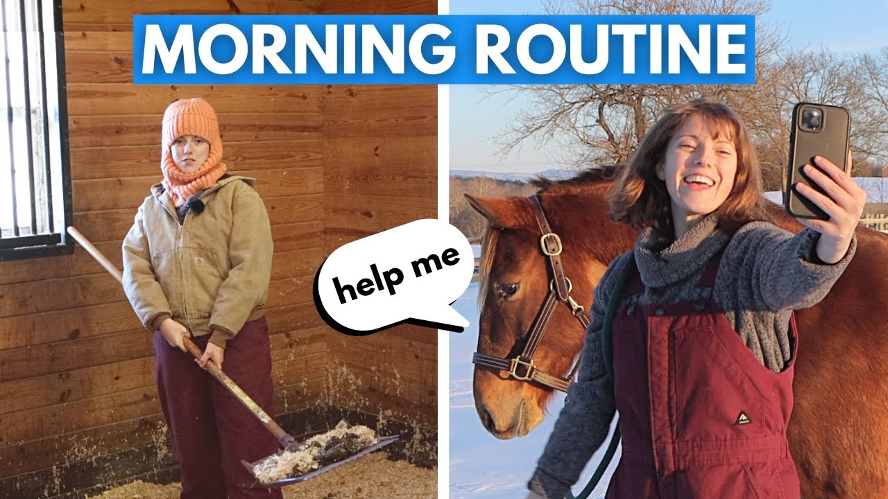 Morning Routine Of An Equestrian | Parody 😂