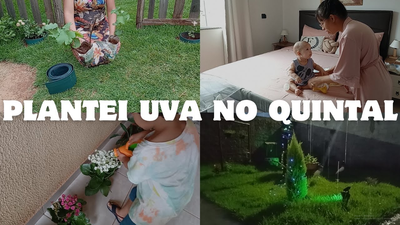 Vida simples em Aparecida de Goiânia / Plantando uva no quintal, rotina de casa e família